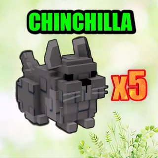 CHINCHILLA