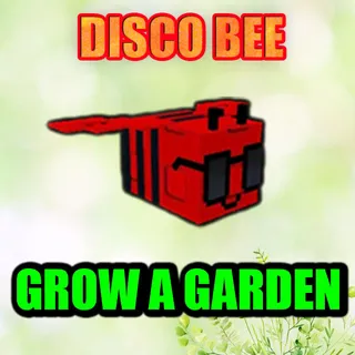 DISCO BEE GROW A GARDEN