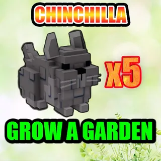 CHINCHILLA GROW A GARDEN