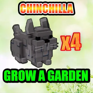 CHINCHILLA GROW A GARDEN