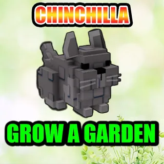 CHINCHILLA GROW A GARDEN