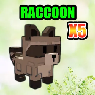 RACCOON