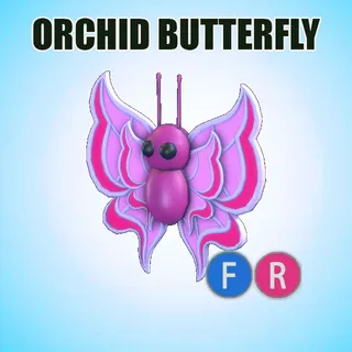FR ORCHID BUTTERFLY