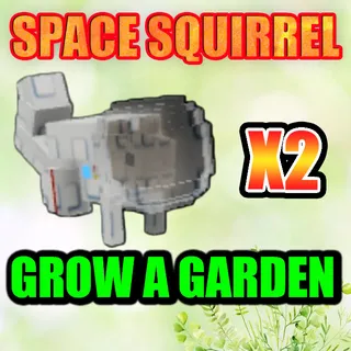 SPACE SQUIRREL  GROW A GARDEN