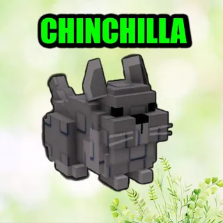 CHINCHILLA