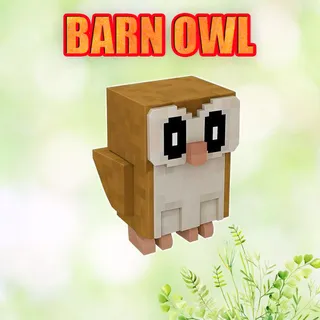 BARN OWL