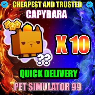 CAPYBARA X10 |PS99