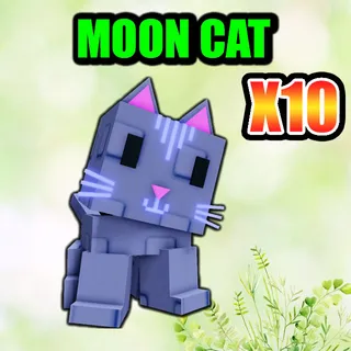 MOON CAT