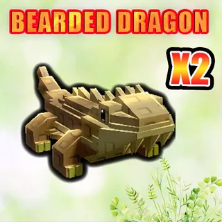 BEARDED DRAGON