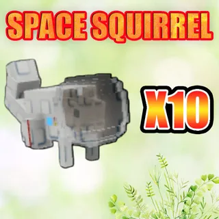 SPACE SQUIRREL