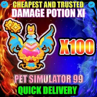 DAMAGE POTION XI X100