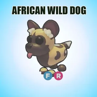 FR AFRICAN WILD DOG