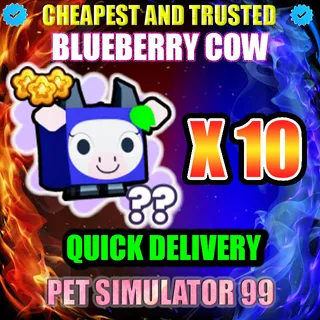 BLUEBERRY COW X10 |PS99