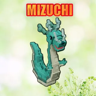 MIZUCHI