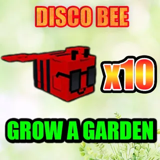 DISCO BEE GROW A GARDEN