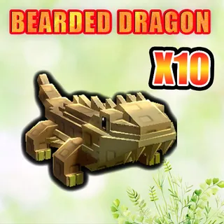 BEARDED DRAGON