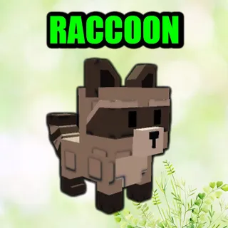 RACCOON