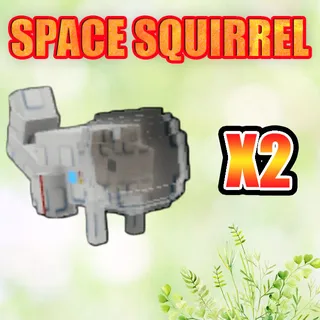 SPACE SQUIRREL