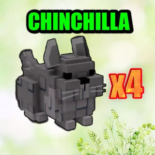 CHINCHILLA