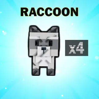 RACCOON