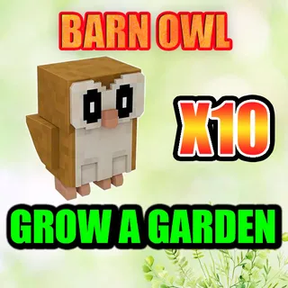 BARN OWL  GROW A GARDEN