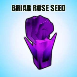 BRIAR ROSE SEED