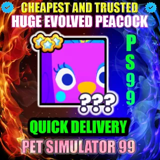 HUGE EVOLVED PEACOCK |PS99