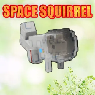 SPACE SQUIRREL