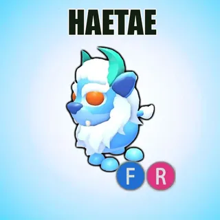 FR HAETAE