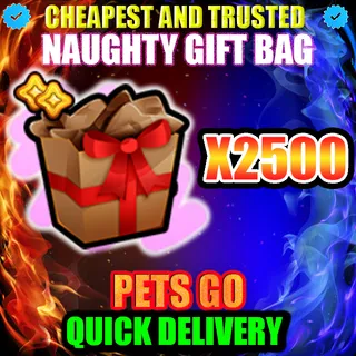 NAUGHTY GIFT BAG X2500