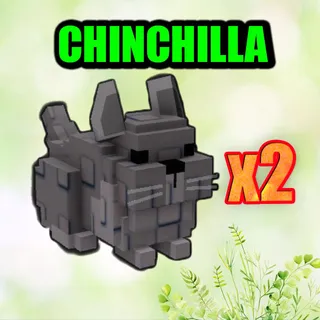 CHINCHILLA