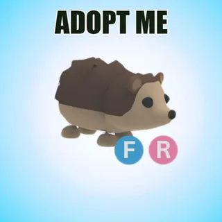 ADOPT ME