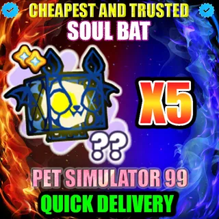 SOUL BAT X5