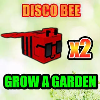 DISCO BEE GROW A GARDEN