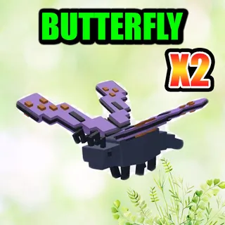 BUTTERFLY