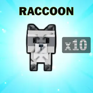 RACCOON