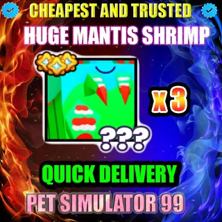 HUGE MANTIS SHRIMP x3