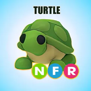 NFR TURTLE