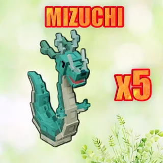 MIZUCHI