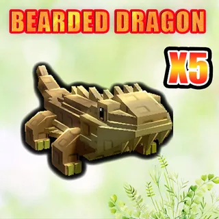 BEARDED DRAGON