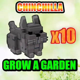 CHINCHILLA GROW A GARDEN