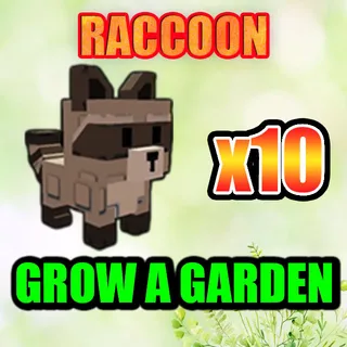 RACCOON GROW A GARDEN