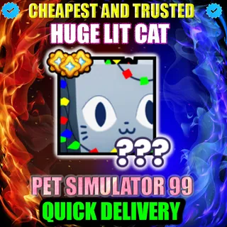 HUGE LIT CAT