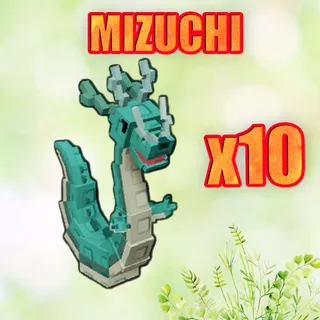 MIZUCHI