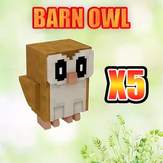 BARN OWL