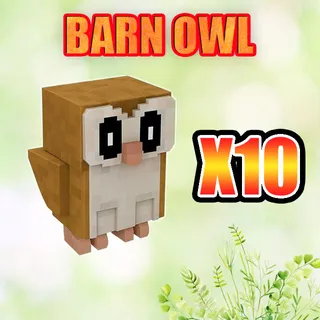 BARN OWL