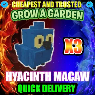 Hyacinth Macaw