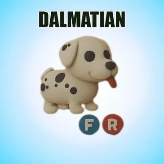 FR DALMATIAN