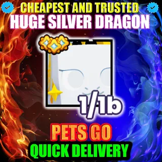 HUGE SILVER DRAGON