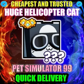 HUGE HELICOPTER CAT